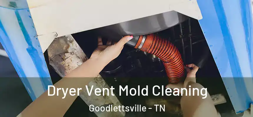 Dryer Vent Mold Cleaning Goodlettsville - TN