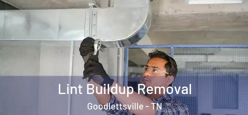  Lint Buildup Removal Goodlettsville - TN