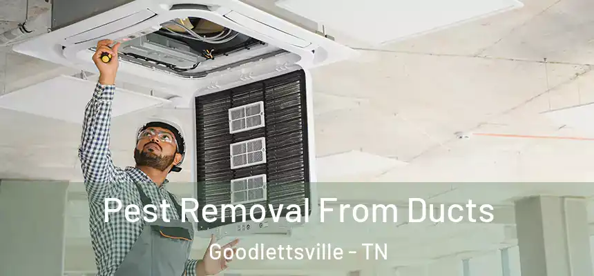  Pest Removal From Ducts Goodlettsville - TN