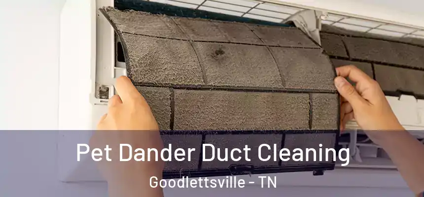  Pet Dander Duct Cleaning Goodlettsville - TN