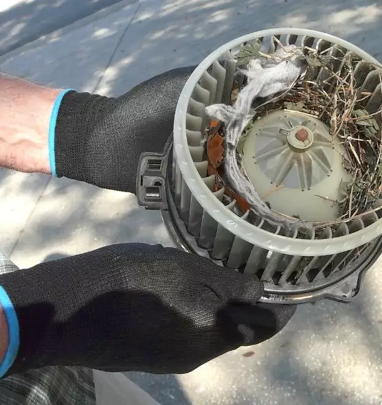 About Air Duct Rat Removal in Goodlettsville, TN