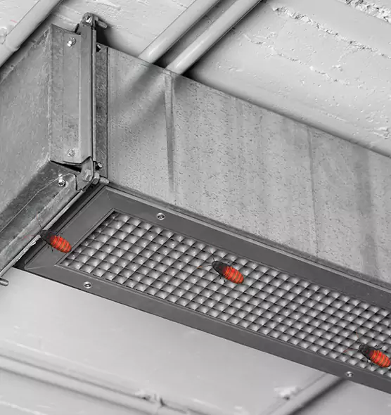 Affordable Insect Removal from Air Ducts in Goodlettsville, TN