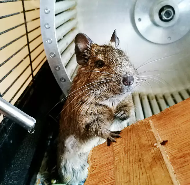 Why Homeowners & Businesses Trust Us Goodlettsville, TN